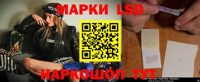 Альфа ПВП Дубна